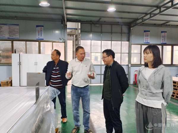 广西林科院木材研究所等团队到访伟新集团考察交流 