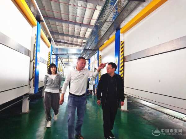 广西林科院木材研究所等团队到访伟新集团考察交流 