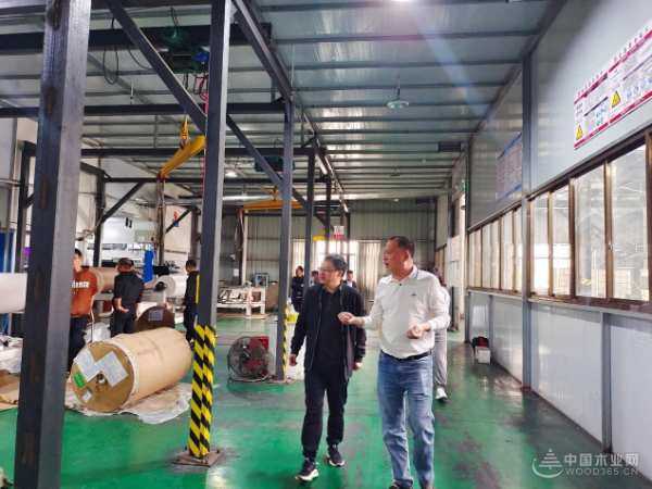 广西林科院木材研究所等团队到访伟新集团考察交流 