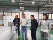 广西林科院木材研究所等团队到访伟新集团考察交流