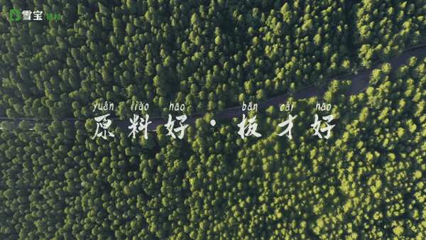全“芯”升级，雪宝杉木芯实木PET柜门板重磅上市！