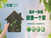 壮象：深耕香杉板材 为美好家居生活赋能