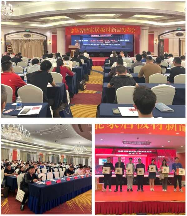 大王椰家具板与市场共舞，品牌、产品、渠道动作持续燃起