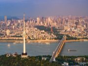 引爆品牌传播丨大王椰国羽形象火遍大武汉主流建材商圈