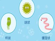 雨季防霉用兔宝宝超芯板 家中“霉菌”再也不见