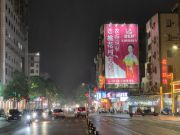 桃花村生态板广东粤西阳江户外广告惊艳上线