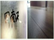 丰林无醛船级红芯板：无惧潮湿，安“醛”环保