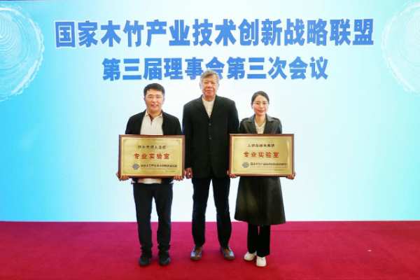 新港集团获批“仿生无醛人造板专业实验室”并进行“轻质高强刨花板制造关键技术”创新成果发布