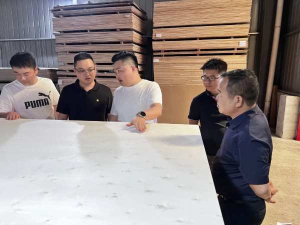 保质保量，提升交付丨大王椰二季度供应保障之行-广西站