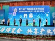 助力美丽乡村建设 壮象荣获“全国绿色建材下乡推荐品牌”