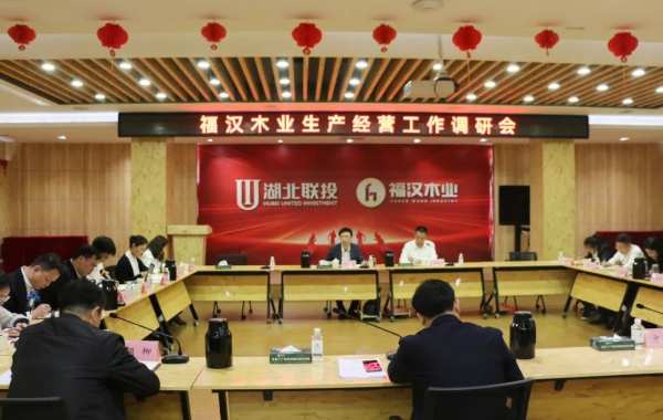 湖北联投党委委员、副总经理李建峰调研福汉木业生产经营工作