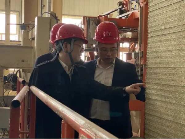 辽宁省省委常委、副省长张立林一行莅临尼尔科达参观调研！