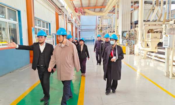 中国林产工业协会领导一行到山东佰世达集团考察指导