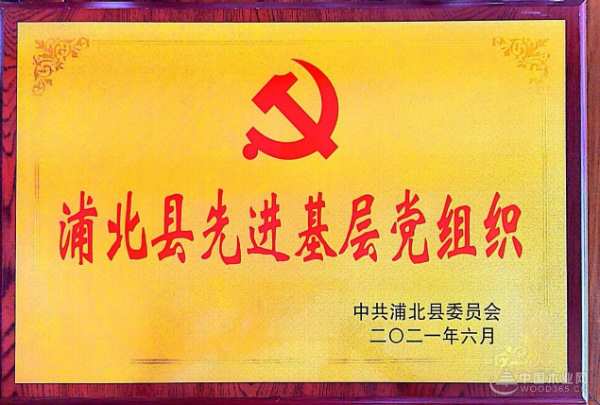 新时代新征程 伟新集团以党建引擎驱动高质量发展