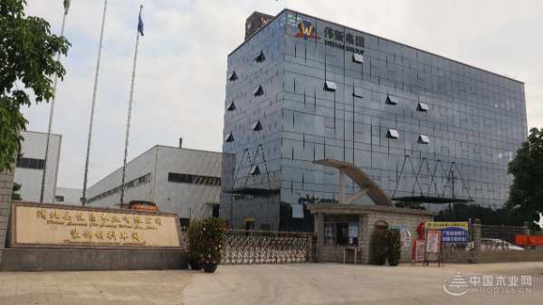 新时代新征程 伟新集团以党建引擎驱动高质量发展