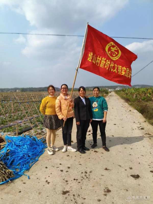 新时代新征程 伟新集团以党建引擎驱动高质量发展