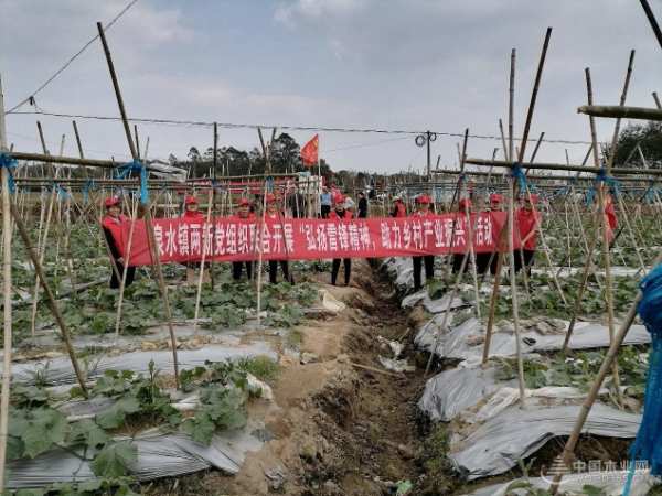 新时代新征程 伟新集团以党建引擎驱动高质量发展