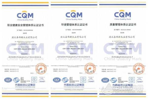 树立行业标杆 伟新木业斩获四项权威认证 