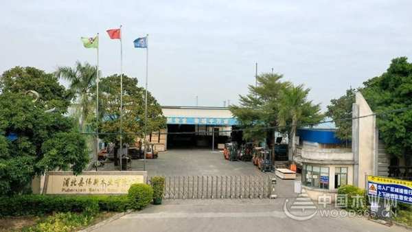 树立行业标杆 伟新木业斩获四项权威认证 