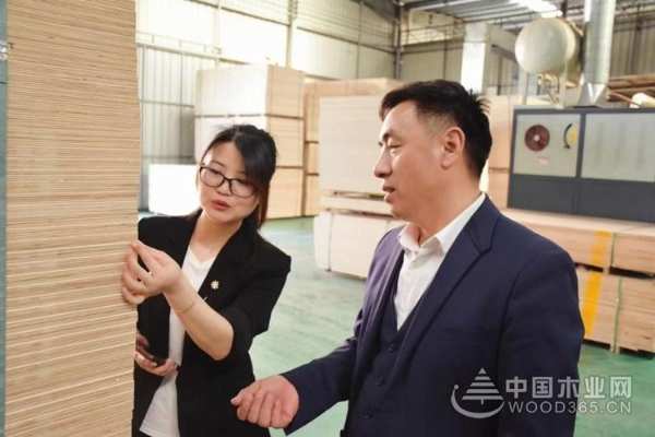 利欣雅板业：精益求精 以品质赢得市场