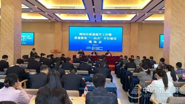 双喜临门！壮象荣获广西质量提升示范企业与绿色产品认证！