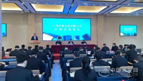 双喜临门！壮象荣获广西质量提升示范企业与绿色产品认证！
