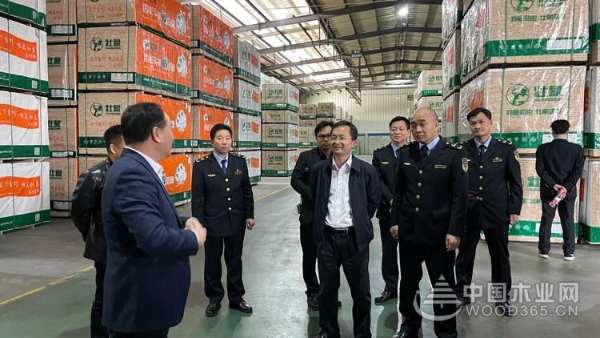双喜临门！壮象荣获广西质量提升示范企业与绿色产品认证！