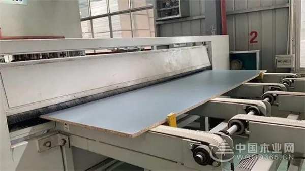 品牌力量全新升级 桥牌木业与您相约上海建博会