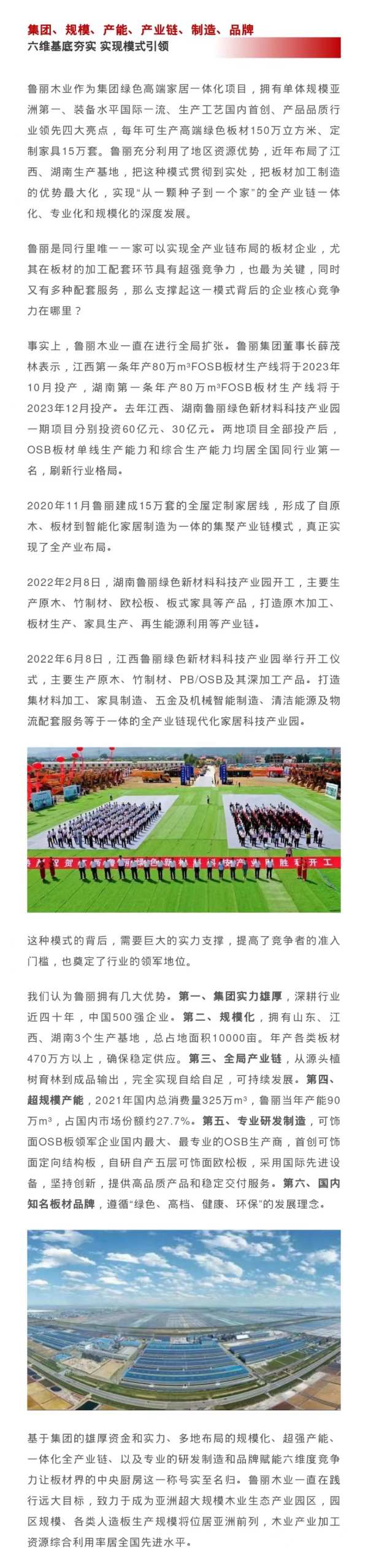 “从一颗种子到一个家”全产业链发展，鲁丽木业打造“板材界的中央厨房”