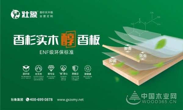 再获殊荣 壮象木业上榜“2022中国建材企业500强”