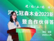 冠森木业2023新品战略发布会成功举办