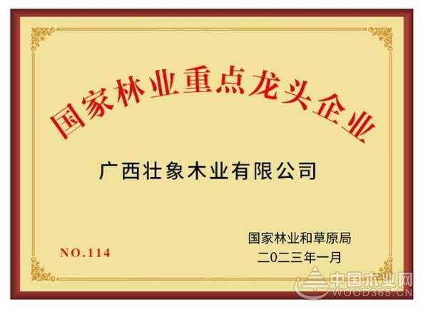 劲鼓擂春奋争先 壮象集团新气象接续奋斗启新程