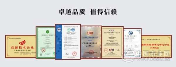 劲鼓擂春奋争先 壮象集团新气象接续奋斗启新程