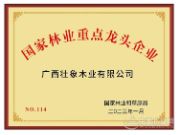 劲鼓擂春奋争先 壮象集团新气象接续奋斗启新程