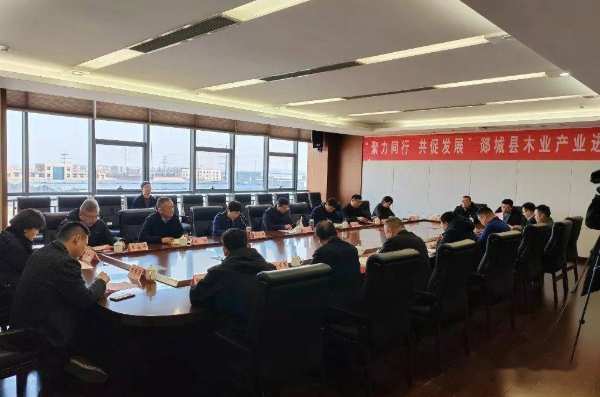 山东郯城县开展木业产业进万华活动