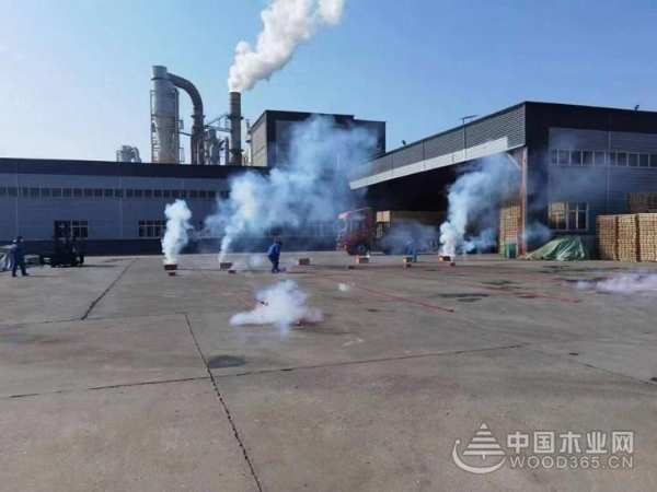 金兔贺新岁 共赴新征程 佰世达木业开工谱写新精彩
