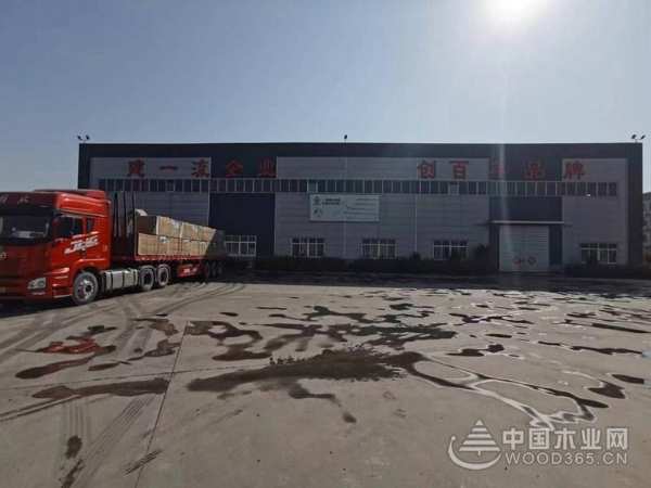 金兔贺新岁 共赴新征程 佰世达木业开工谱写新精彩