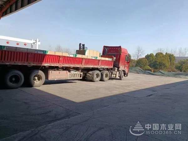 金兔贺新岁 共赴新征程 佰世达木业开工谱写新精彩