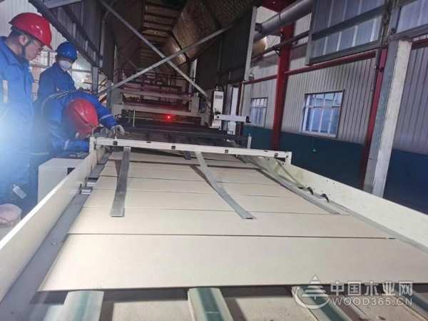 金兔贺新岁 共赴新征程 佰世达木业开工谱写新精彩
