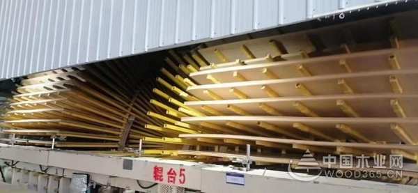 金兔贺新岁 共赴新征程 佰世达木业开工谱写新精彩