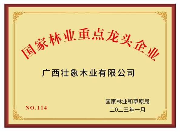 壮象获评“国家林业重点龙头企业”