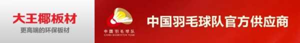 年度集锦·市场篇 | 大王椰全力冲刺打磨，构建市场新局面