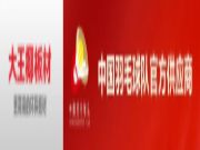 年度集锦·市场篇 | 大王椰全力冲刺打磨，构建市场新局面