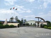 岁末年终传喜讯！伟新集团昌宏木业被认定国家高新技术企业