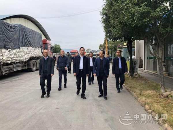 柳州市政协督察组一行到广西龙头企业壮象集团考察调研