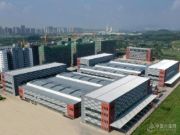 红棉花板材：持续研发高端产品 做全球空间质材引领者