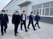 【尼尔科达集团】—45万立方米LSB板材项目，逆势起航！
