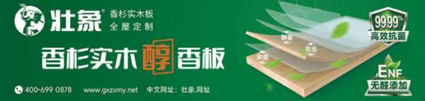 喜报|壮象上榜柳州市民营企业100强