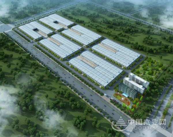 多方发力 圣宝罗酷锐加速建设宏伟蓝图