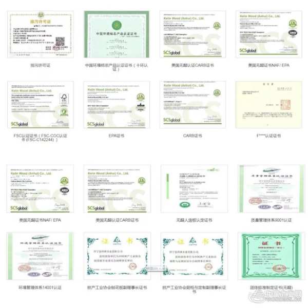 开拓创新 科林高质量发展步伐更加铿锵有力
